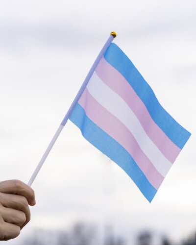 Flag with blue, pink, white, pink, blue stripes is held by a hand.